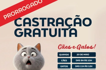 Castração gratuita em Pereiras é prorrogada e recebe nova data