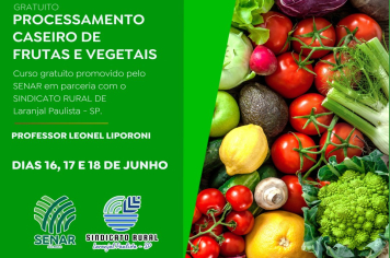 Curso Gratuito: Processamento Caseiro de Frutas e Vegetais