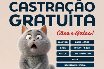 Mutirão de castração gratuita para cães e gatos será realizado em Pereiras