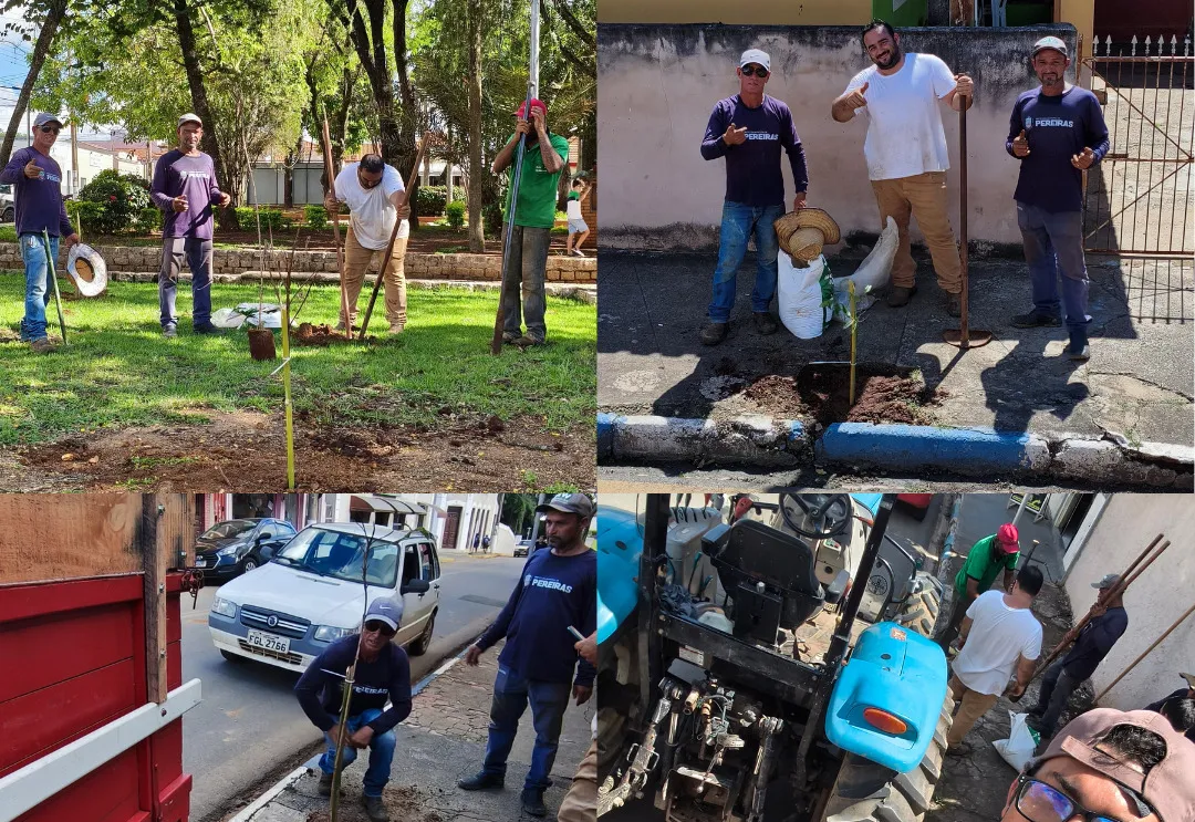 Prefeitura realiza plantio de 35 mudas para reforçar arborização urbana