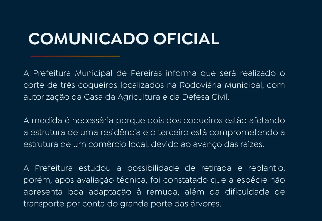 Prefeitura informa sobre corte de coqueiros próximos à Rodoviária Municipal